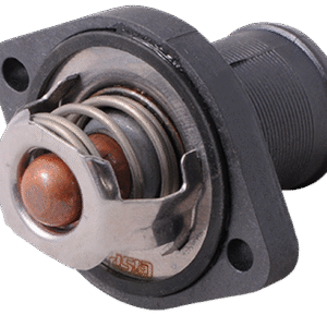 ترموستات89 درجه با درپوش206