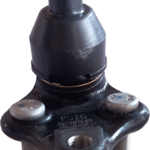 سيبک زير کمک شاهين