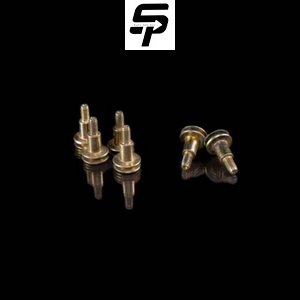 پیچ قاب تسمه تایم 405 سانکس