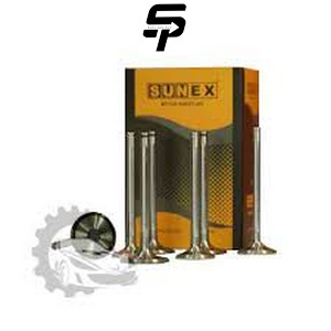 سوپاپ 405 تعمیری سانکس