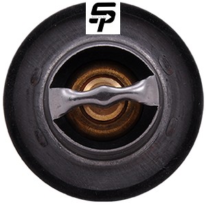 ترموستات75درجه پژو