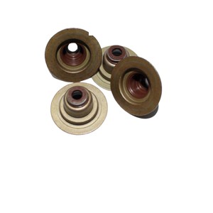 کاسه نمد ساق سوپاپ (دست کامل) تیبا