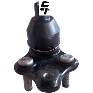 سیبک زیر کمک شاهین